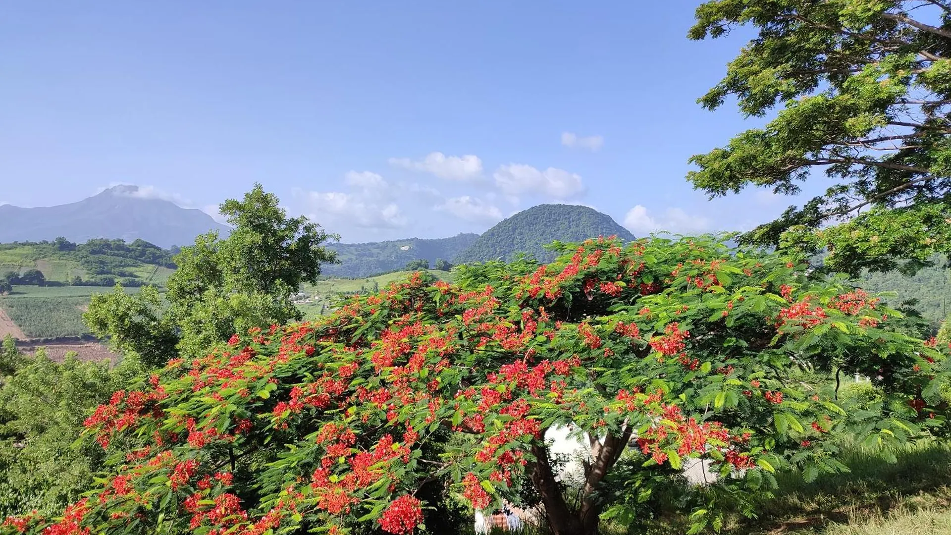 Villanolis Martinique Le Carbet 0*,  Martinik